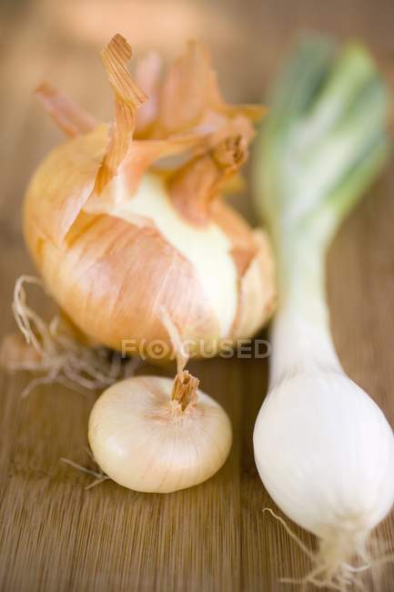 Different types of onions — Stock Photo
