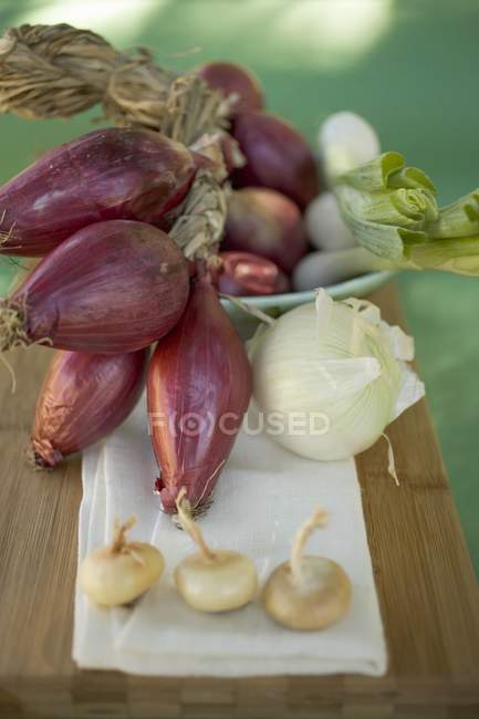 Vários tipos de cebolas — Fotografia de Stock