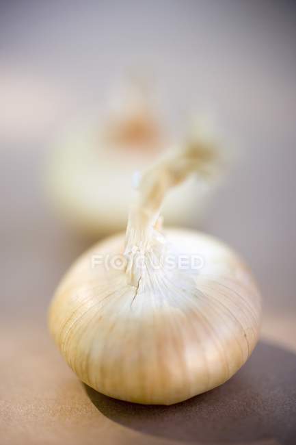 Whole Onion on the table — Stock Photo