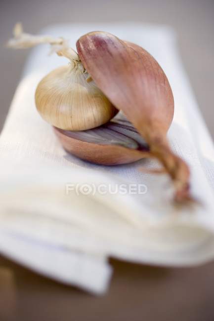 Onion inside halved red onion — Stock Photo