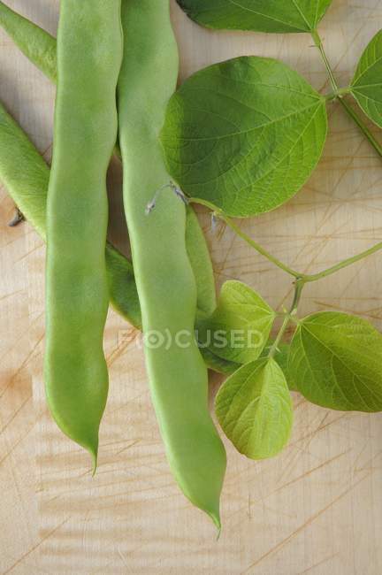 Frische grüne Bohnen mit Blättern — Stockfoto