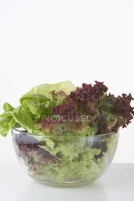 Смешаные листья салата в миске — стоковое фото