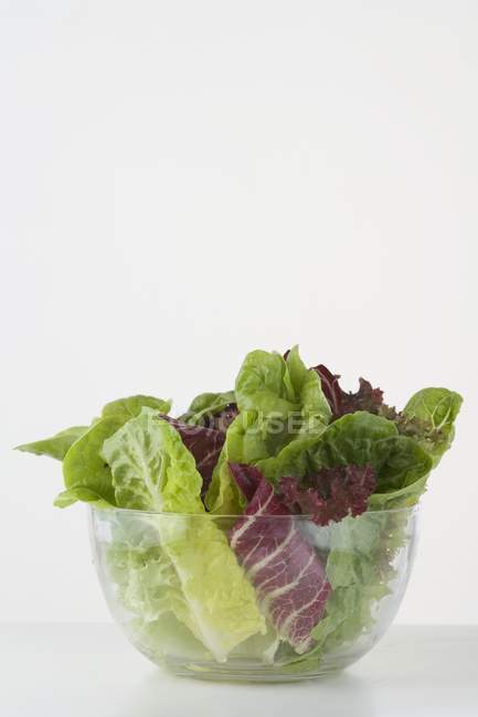 Смешаные листья салата в миске — стоковое фото