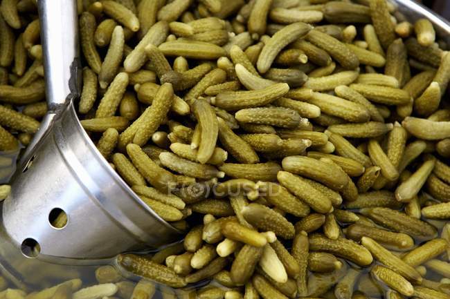 Pickled gherkins with ladle — Stock Photo