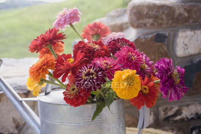 Vista diurna de flores de colores en regadera - foto de stock