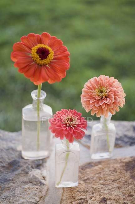 Vista diurna de tres flores de verano en botellas de vidrio en la pared de piedra - foto de stock