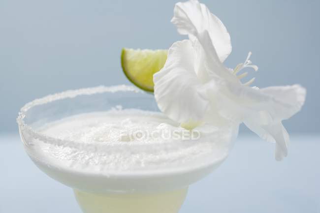 Margarita in a glass with a salted rim — Stock Photo