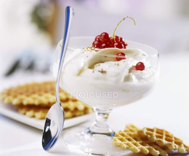 Syllabub with redcurrants and waffles — Stock Photo