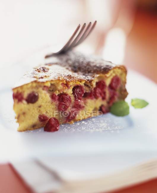 Pièce de gâteau aux canneberges — Photo de stock