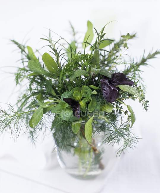 Bunch of herbs in vase — Stock Photo