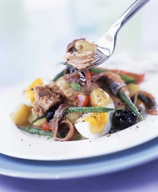 Closeup view of Salade Nicoise with tuna and anchovies — Stock Photo