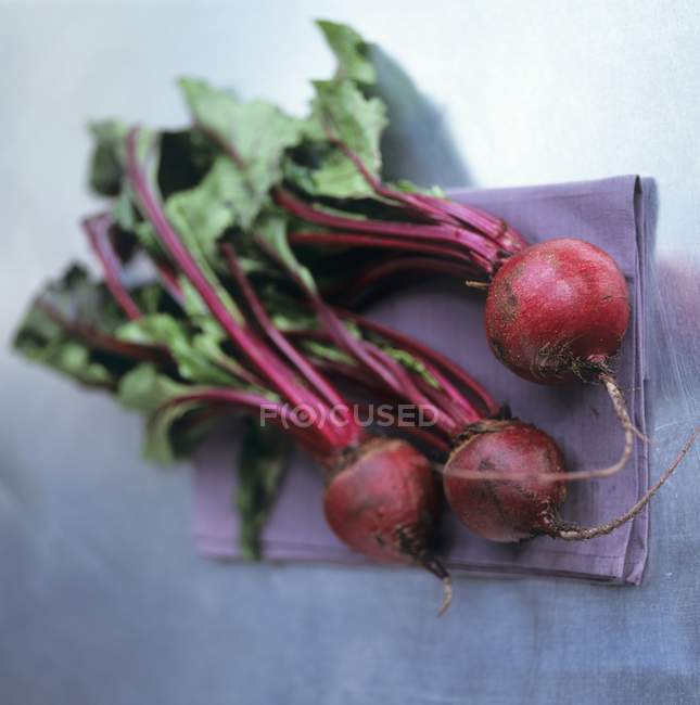 Three beetroots with leaves — Stock Photo