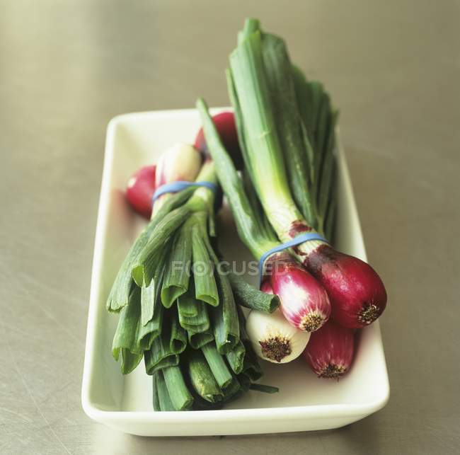 Two bunches of red spring onions — Stock Photo