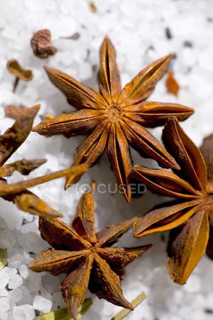 Star anise on coarse salt — Stock Photo