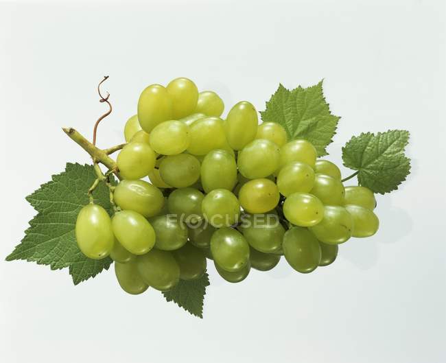 Bunch of Green grapes with leaves — Stock Photo
