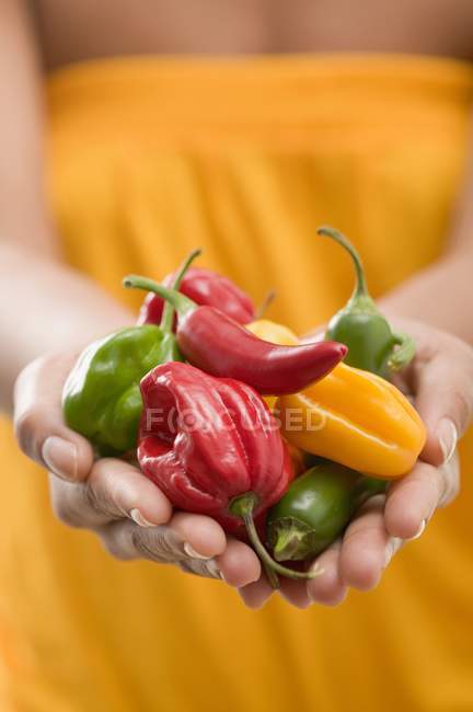 Mulher segurando pimentas — Fotografia de Stock