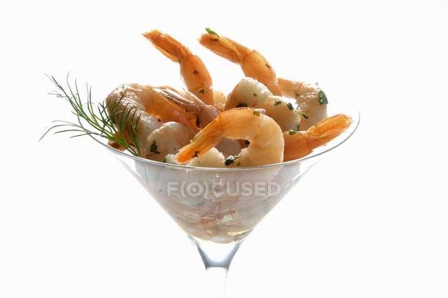Prawns with dill in cocktail glass — Stock Photo