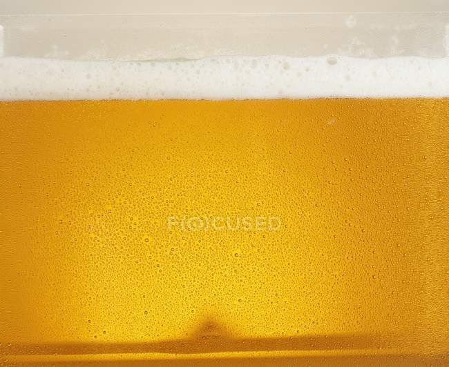 Lager with head of foam — Stock Photo
