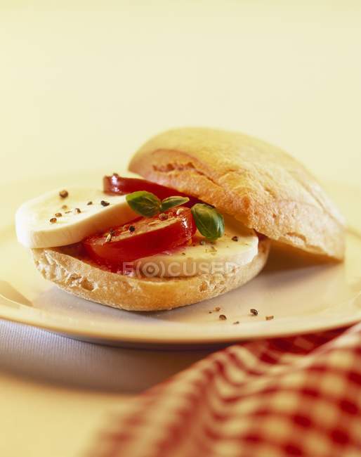 Tomaten und Mozzarella in Ciabatta — Stockfoto