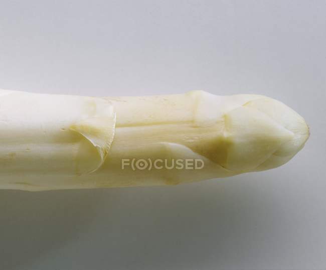 Punta di asparago bianco — Foto stock