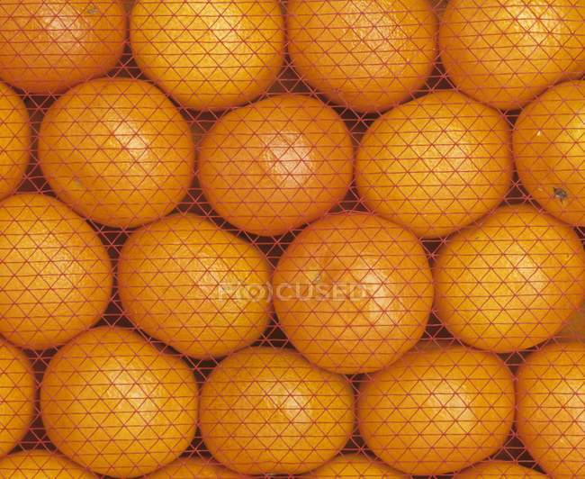 Kiste Orangen mit Netz — Stockfoto