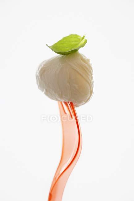 Mozzarella com manjericão em garfo de plástico — Fotografia de Stock