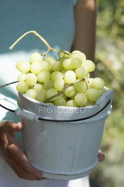 Woman holding green grapes — Stock Photo