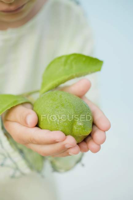 Mãos de criança segurando limão fresco — Fotografia de Stock