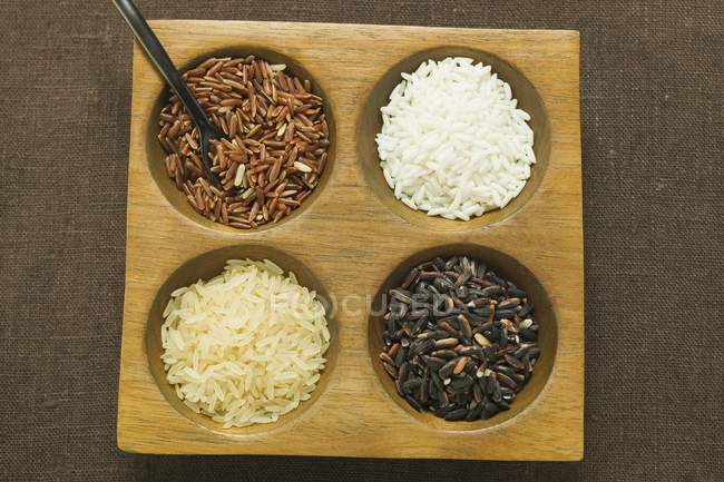 Quatre types de riz différents — Photo de stock