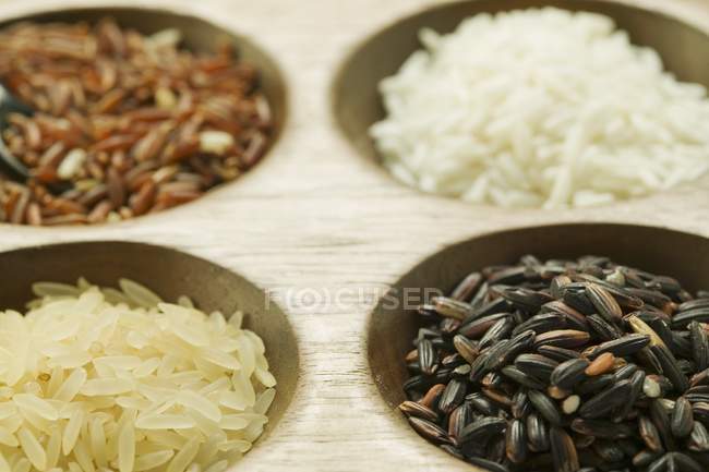 Quatre types de riz différents — Photo de stock