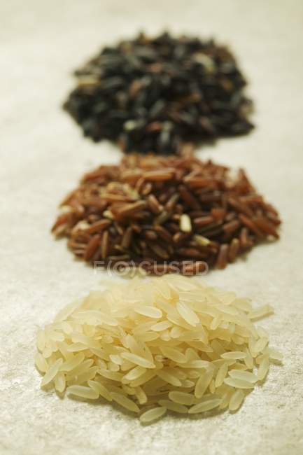 Three different types of rice — Stock Photo