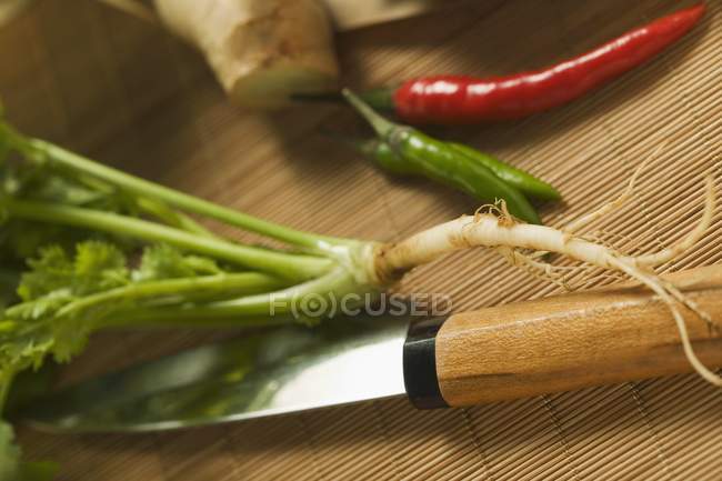 Coriander leaves with chili peppers — Stock Photo