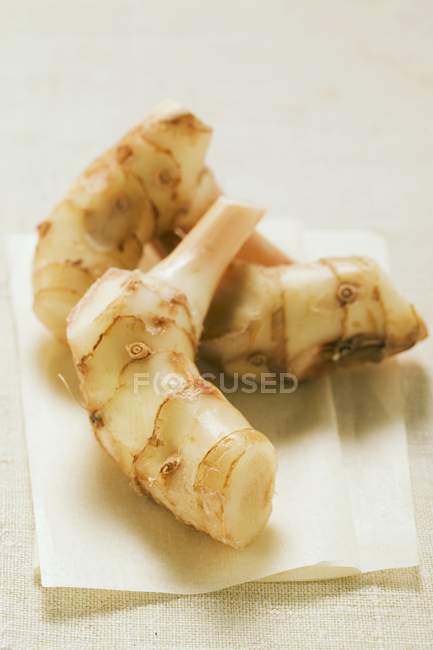 Raízes de galanga frescas em guardanapo de papel — Fotografia de Stock