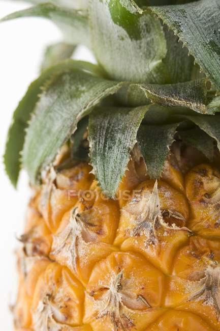 Свежий спелый ананас — стоковое фото