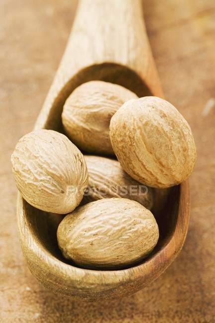 Nutmegs in wooden spoon — Stock Photo