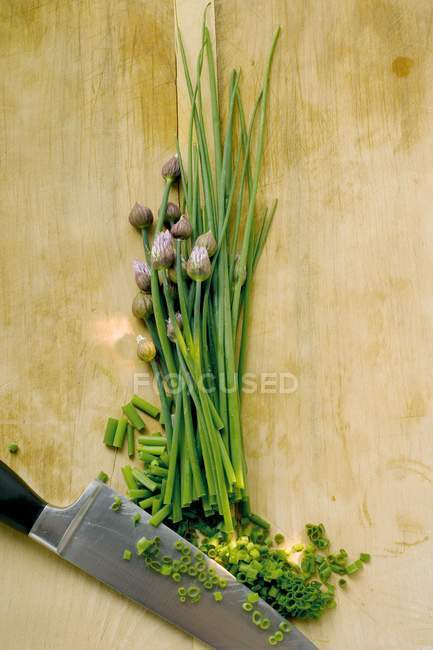 Cebolinha fresca parcialmente picada — Fotografia de Stock