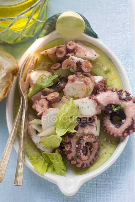 Octopus salad with celery — Stock Photo