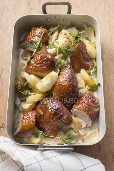Roast duck pieces with apples — Stock Photo
