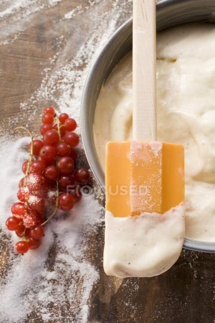 Cottura stagno foderato con pasta e ribes rosso — Foto stock