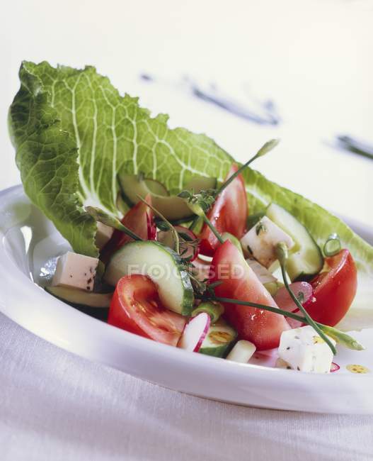 Mediterraner Salat mit Kräutern — Stockfoto
