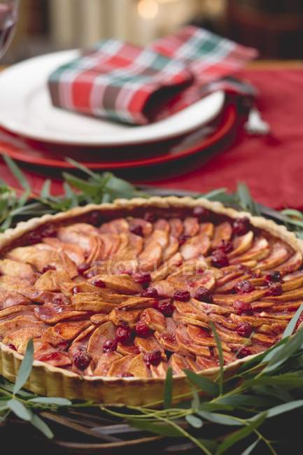 Apple and cranberry tart — Stock Photo