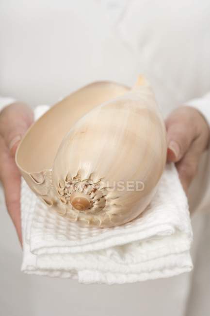 Vista close-up de mãos segurando grande concha na toalha branca — Fotografia de Stock