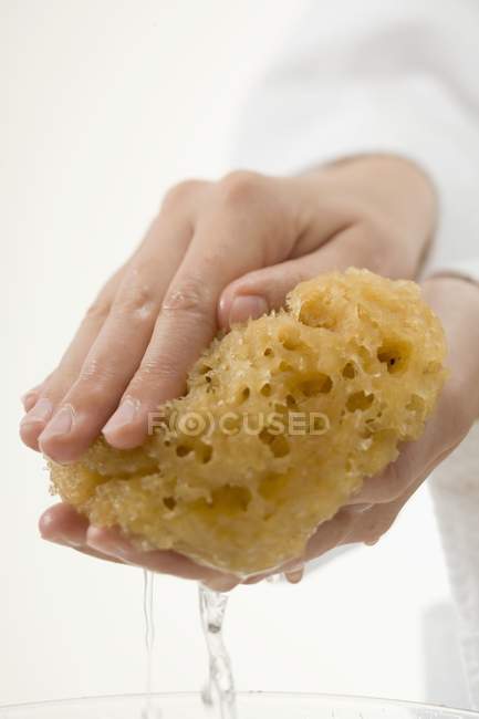 Mãos femininas espremendo esponja molhada — Fotografia de Stock
