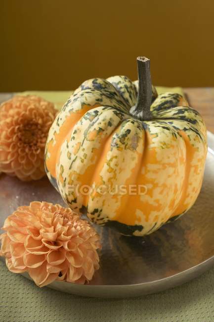 Coloured ripe pumpkin — Stock Photo
