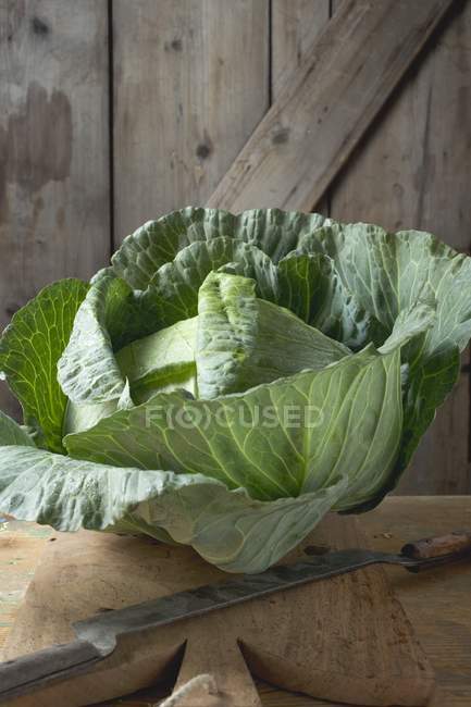 Savoy cabbage on chopping board — Stock Photo