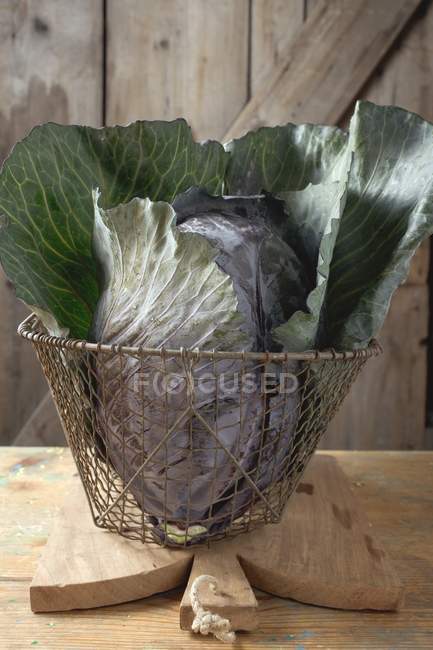 Red cabbage in basket — Stock Photo