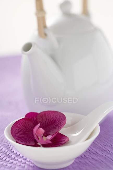 Чайник и миска с ложкой — стоковое фото