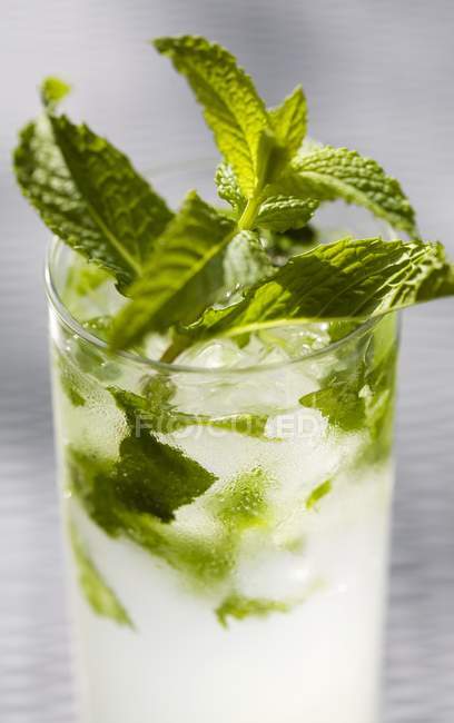 Mojito-Cocktail im Glas — Stockfoto