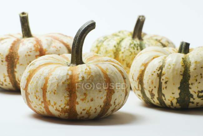 Striped homegrown pumpkins — Stock Photo