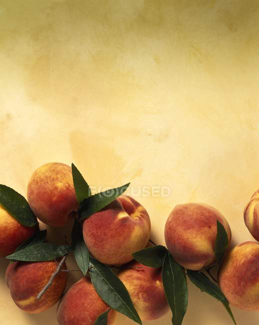 Свежие персики с листьями — стоковое фото